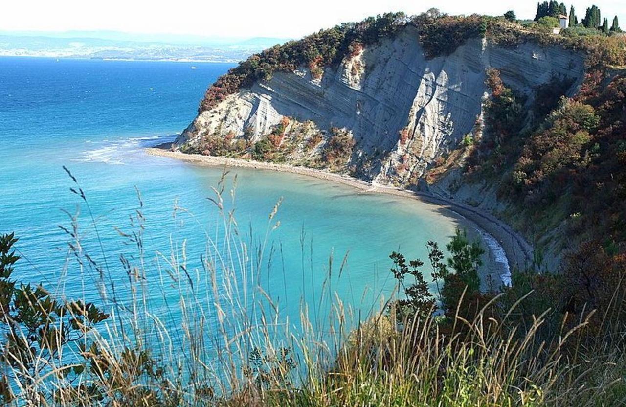Koper Homey Retreat Lure 外观 照片